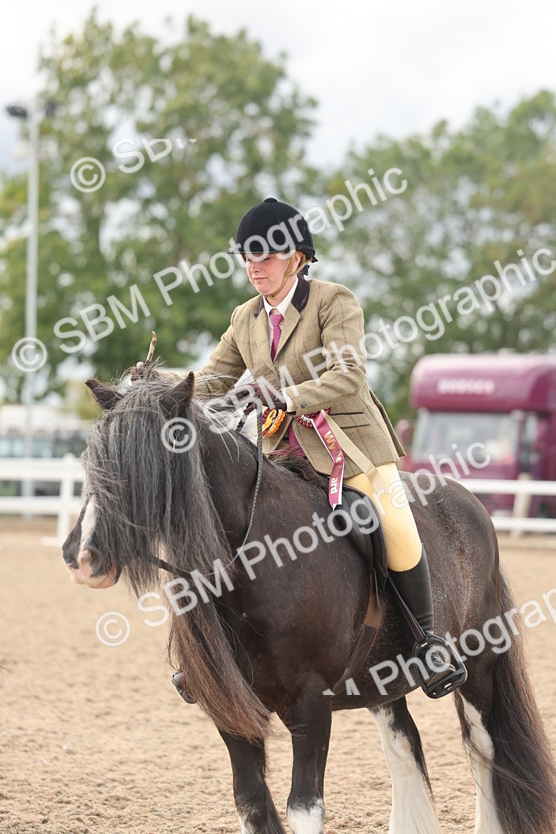 SBM_18080 - Class 314 - Family Horse Pony
