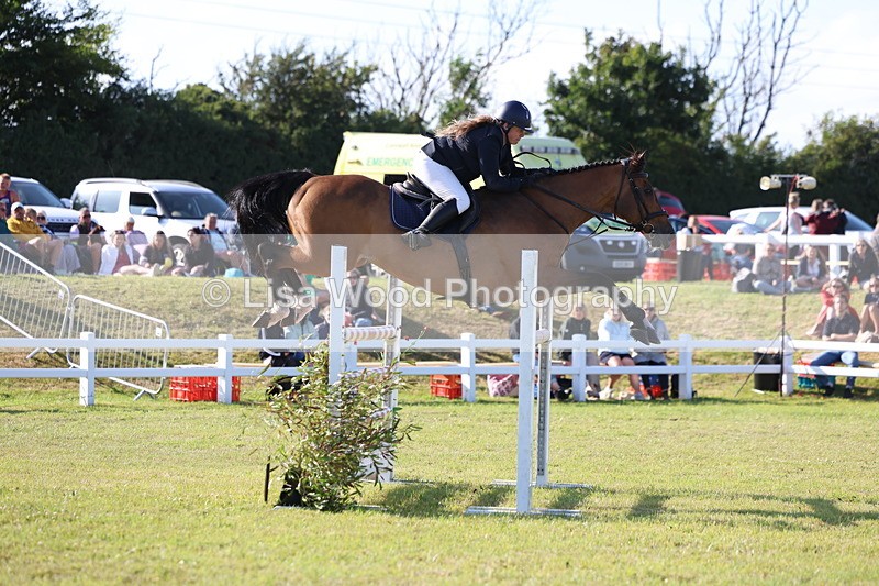 3E7A4357 - Class C: Showjumping Senior Foxhunter