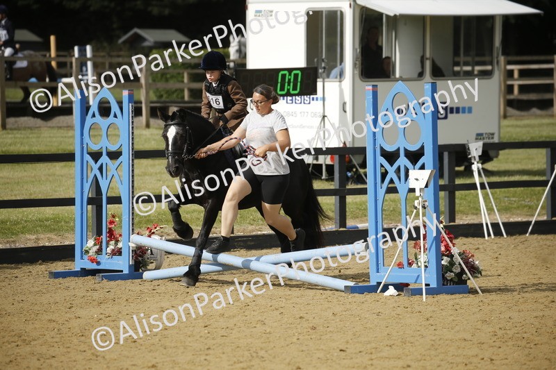 20250622-1339 - 40cm