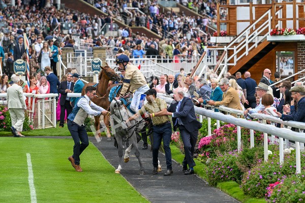 270724-Race 4-Greydreambeliever-7164 - Race 4 4.00pm Sky Bet Club EBF Fillies' Novice Stakes