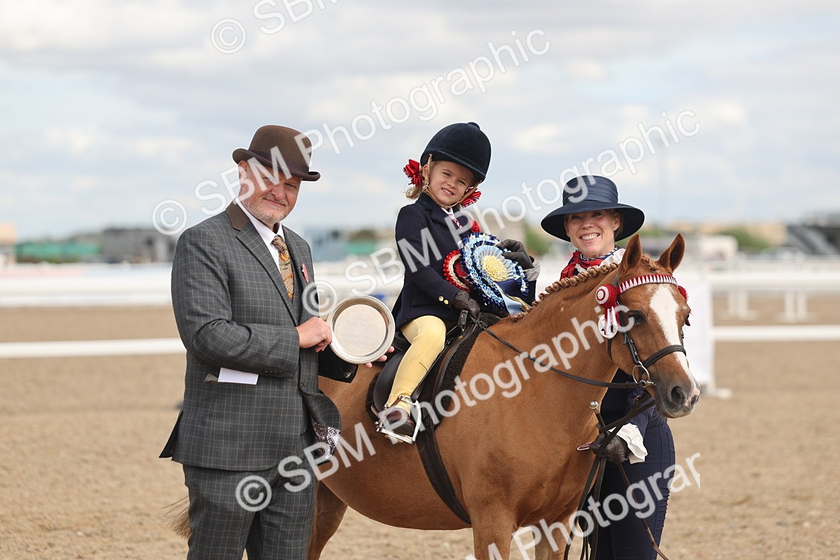 SBM_15826 - Class 309 - Lead Rein Pony