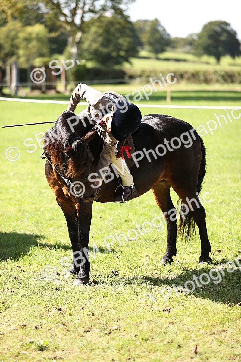 SBM_19355 - S3 - TSR Ridden Pony Showing