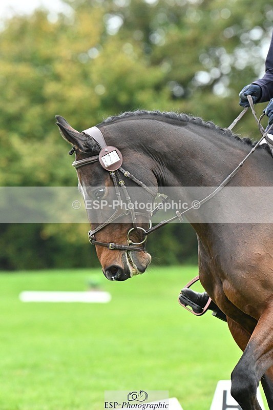 241024-122059-02706 - 325-Isobel.Gardner-FAERE.VENTURE