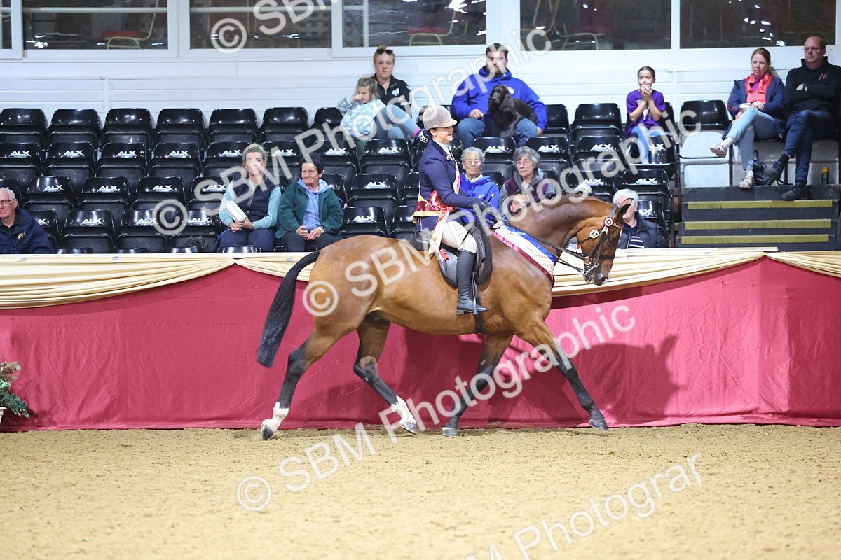 SBM_19193 - Class I Competition/ Riding Club Champ