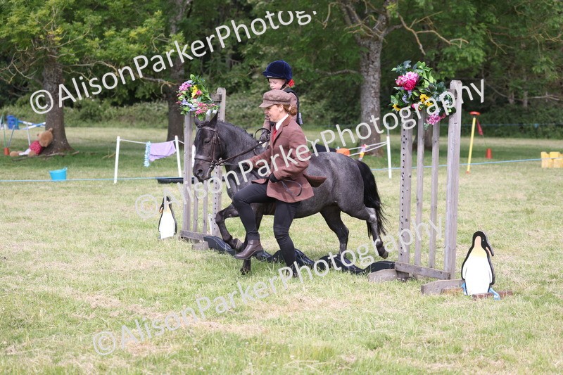 20260614-0584 - Class 20 - Beginners Working Hunter Pony
