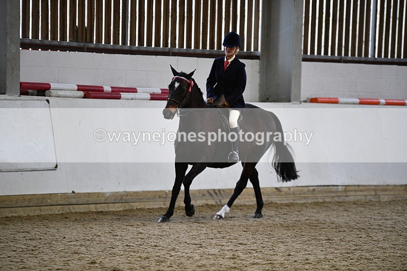 WJ5_7854 - Class 13 Ridden Part Breed