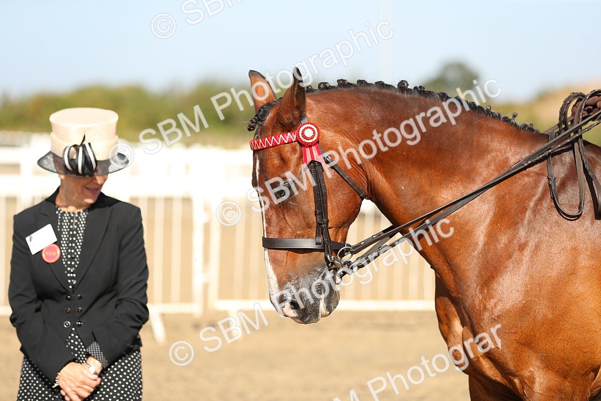 SBM_01205 - Class 42 Ridden Veteran