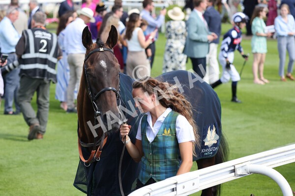yr09072022r5-10 - Race 5 4.05pm John Smith's Cup