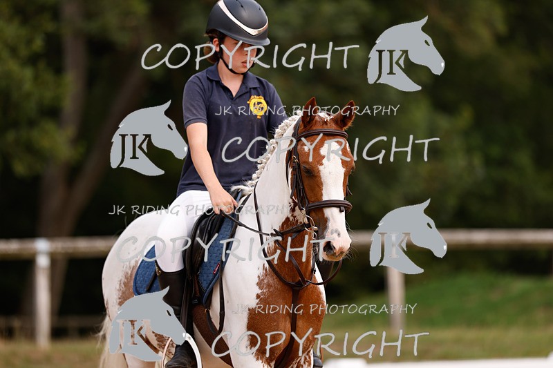 _R6A2614 - Dressage Morning