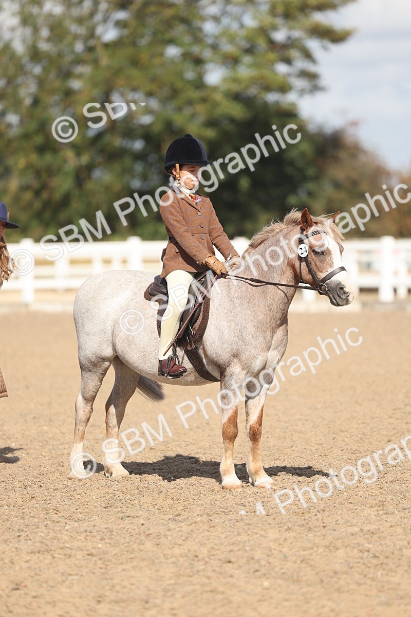 SBM_23108 - Class 806 - Young Rider 10ry and Under