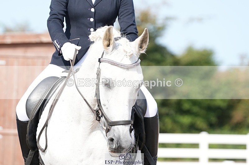 250815-103541-00461 - 006-Scarlett.JohnCapote.GB