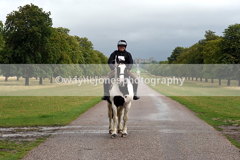 TT3_8258 - Time at Crossing 10:16 to 11:38