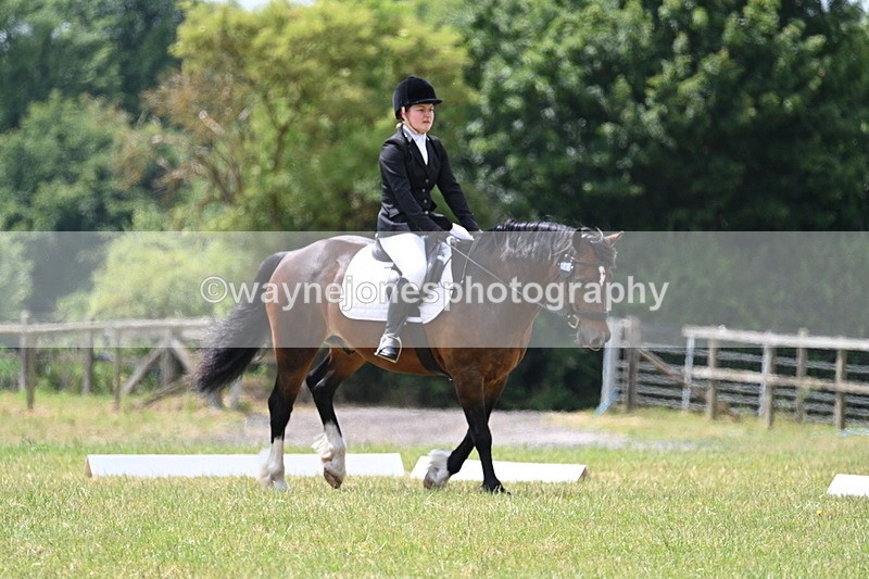 WJ7_5659 - Time 11:52 to 12:10