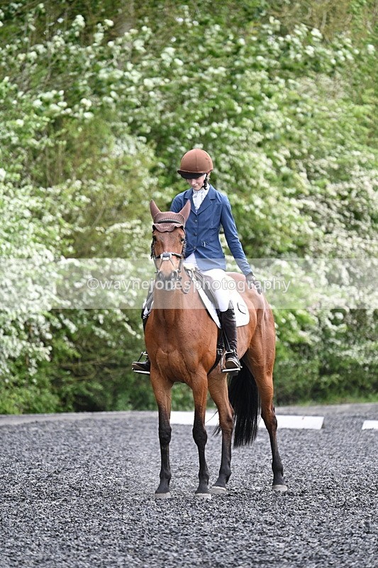 WJ7_1868 - Time 15:05 to 15:27