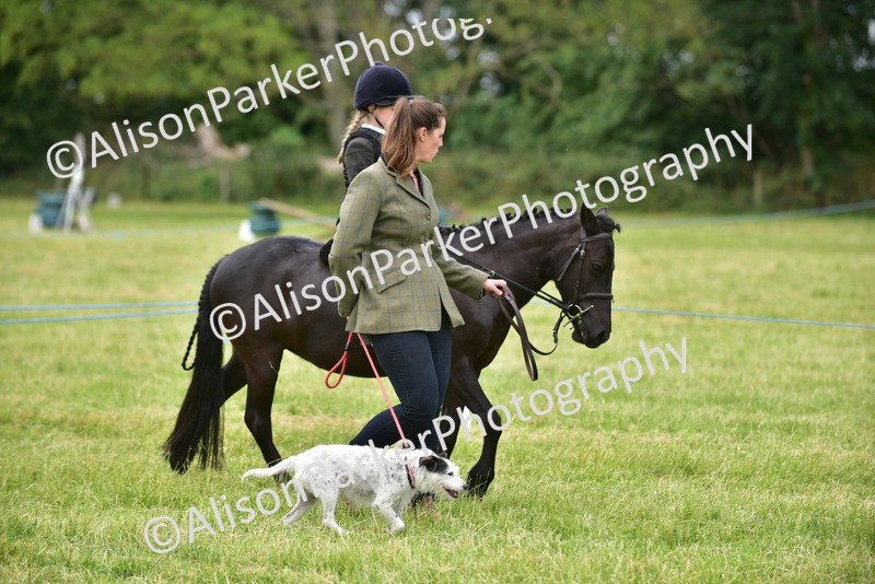 20260614-4523 - Class 19 - Cutest Pony, Rider and Dog Combination