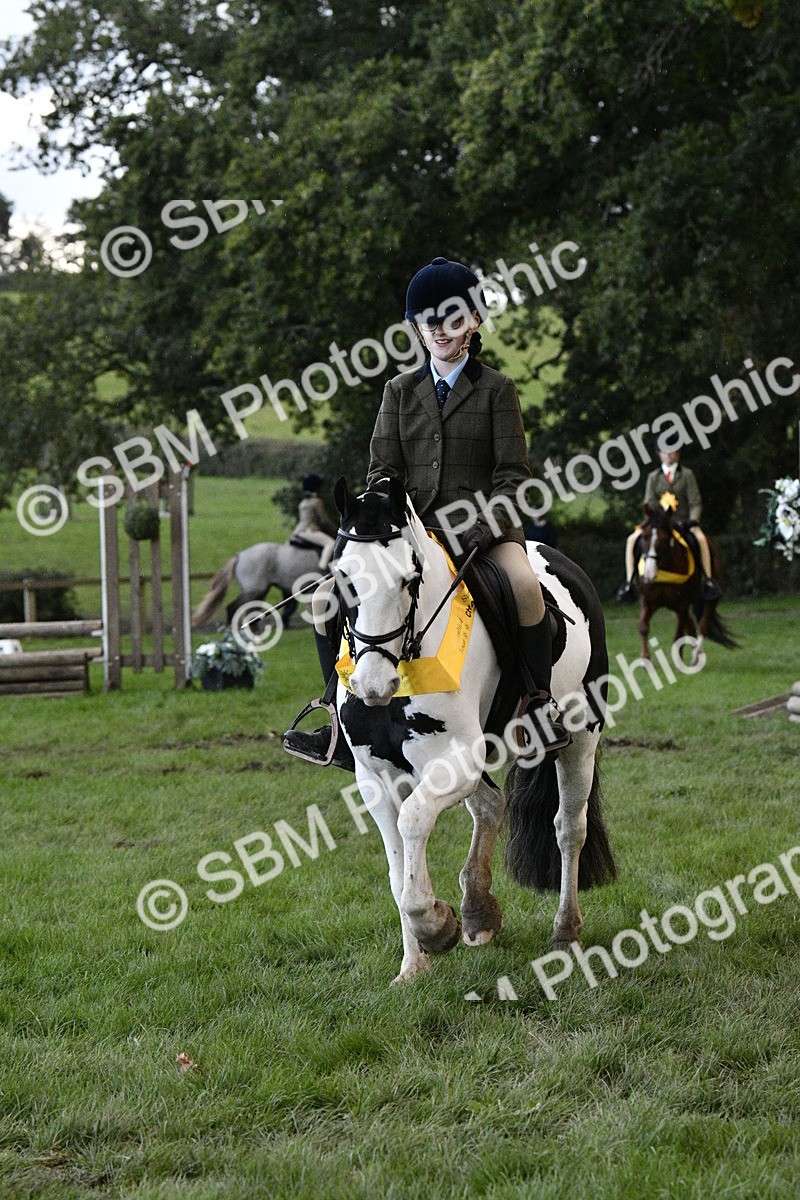 SBM_53319 - S14 - Riding Club Horse