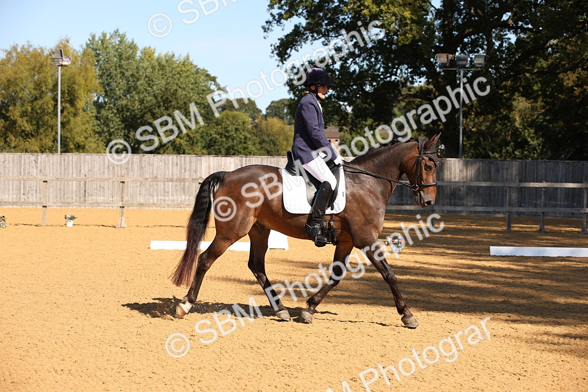 SBM_21612 - D5 - Small Tour Championship - Intro C