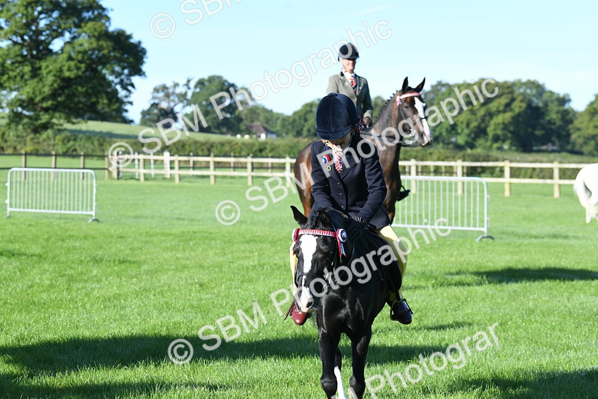 SBM_34074 - S16 - Condition & Turnout - Ridden