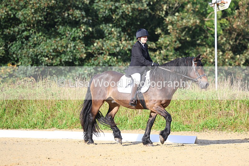 3E7A1850 - Class 1: Intro 4 2024 section A