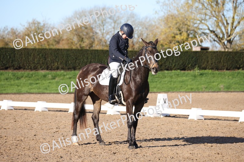 20251102-0405 - Class 3 - Novice 5