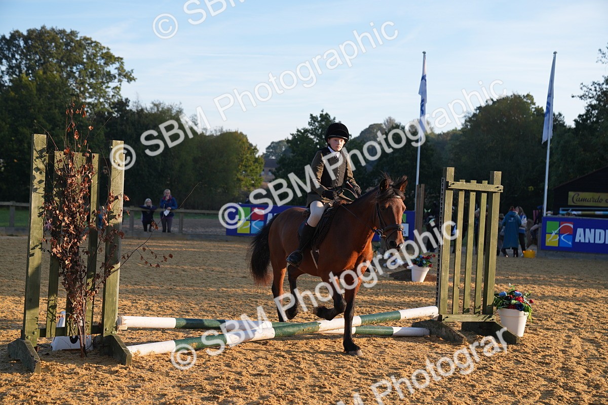 SBM_58868 - J63 - Minis Clear Round 30cm 40cm