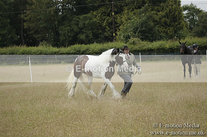 B230619-0389 - Bourne Valley Riding Club Summer Show 23/06/19