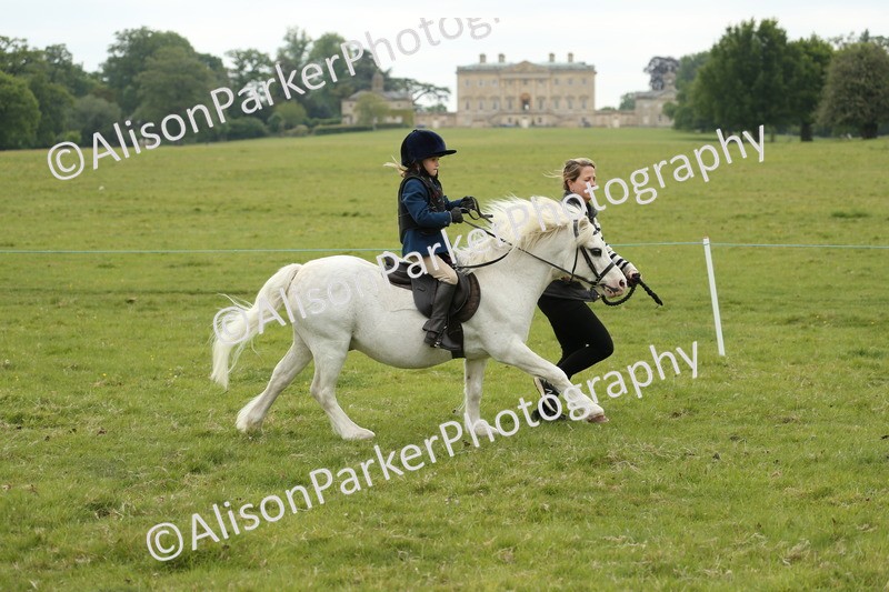 20250517-0605 - Class 20 - Beginners Working Hunter
