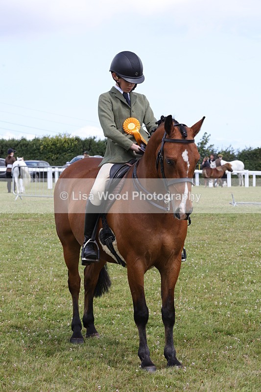 1X9A4118 - Class 32: Show Hunter Pony 153cm and under