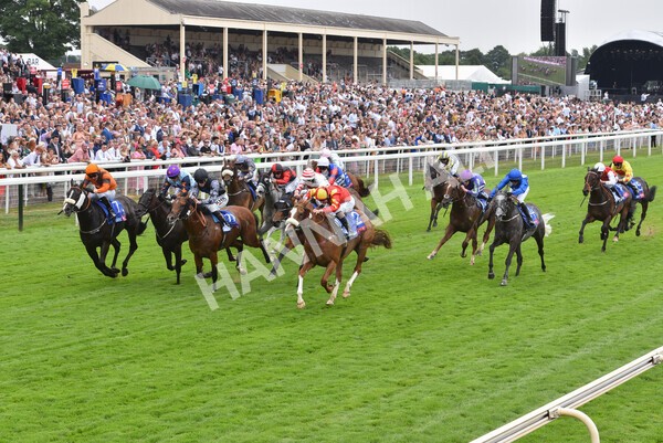 yr23072022r2-34 - Race 2 2.40pm Sky Bet Dash