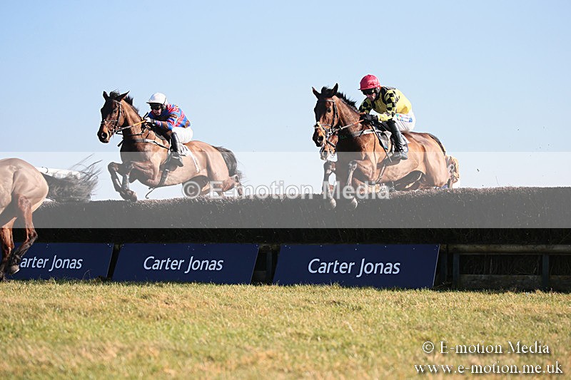 PtP 230219 333 - Vine & Craven Point-To-Point - Barbury 23/02/19