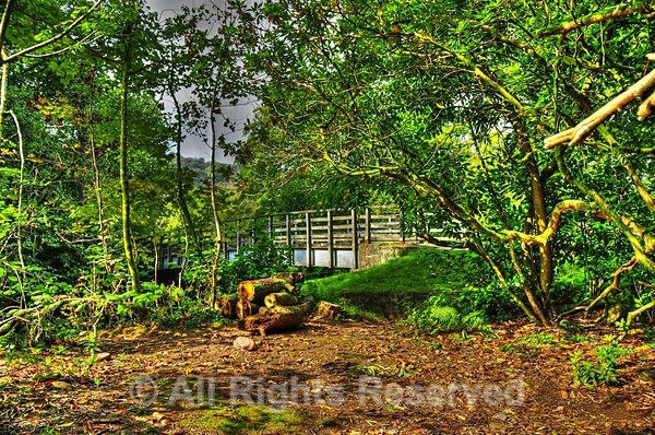 Autumn1096 - Seasonal Wales