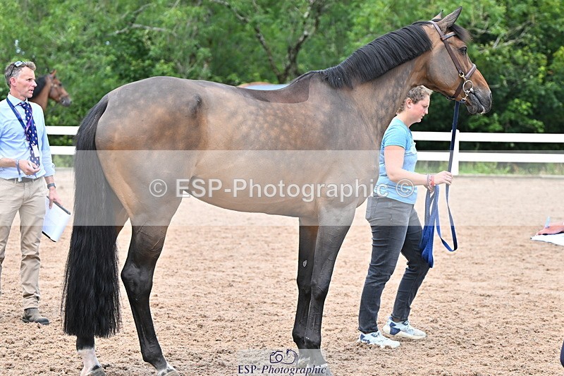 240718A-105323-01937 - Trot Up 2pm to 3pm - This folder is not in time order