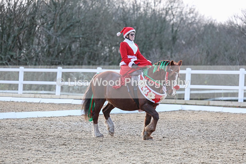 3E7A5002 - Class 5: Novice