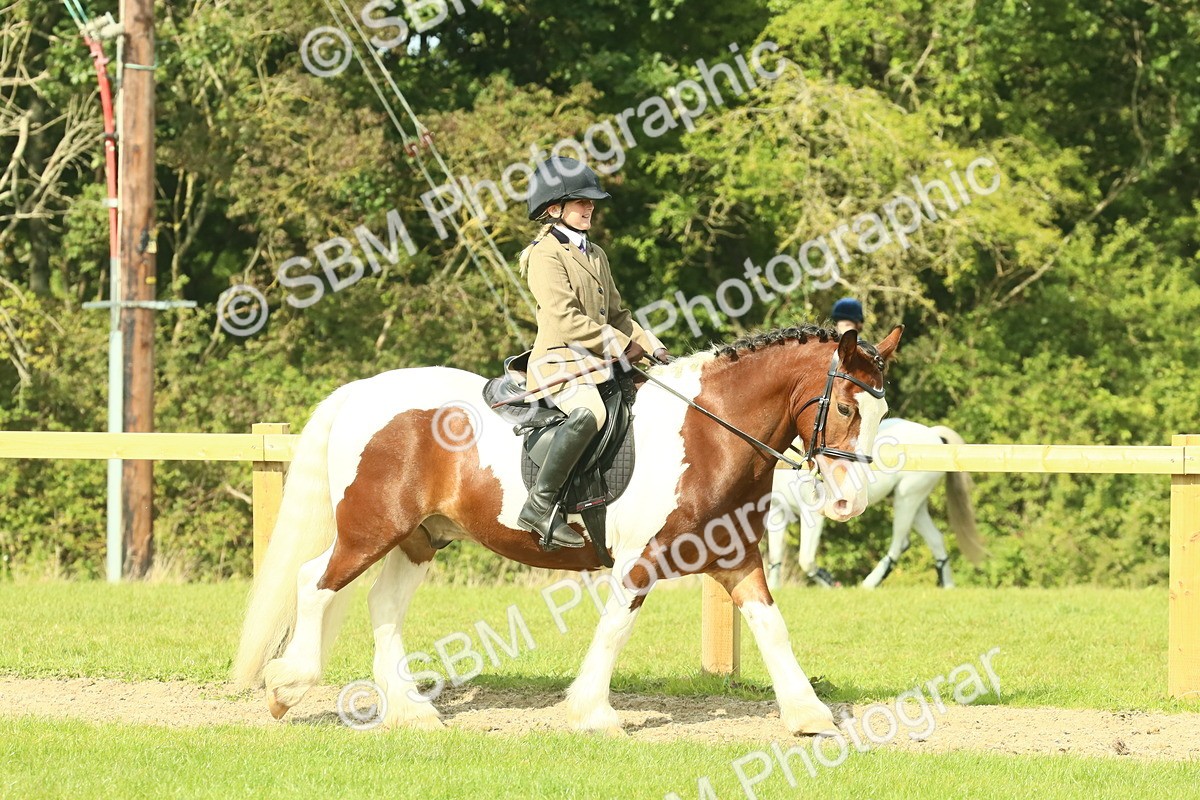 SBM_67387 - S56 - Coloured Pony Ridden