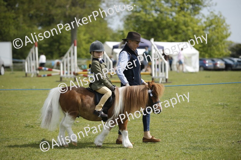 20260426-1844 - Class 7 - Pony Judge Would Most Like To Take Home