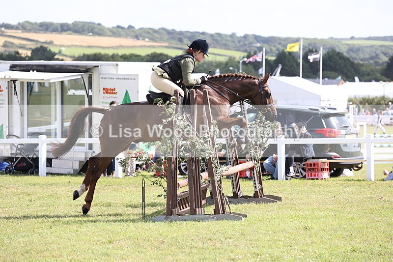 JPP_2558 - Class 20: Working Hunter 70cm