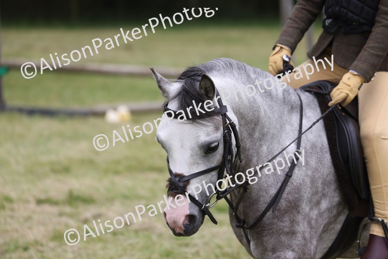 20260614-3139 - Class 22 - Open Working Hunter