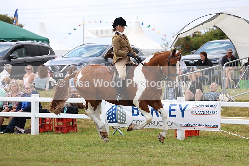 3E7A1904 - Class 10: Open Cob