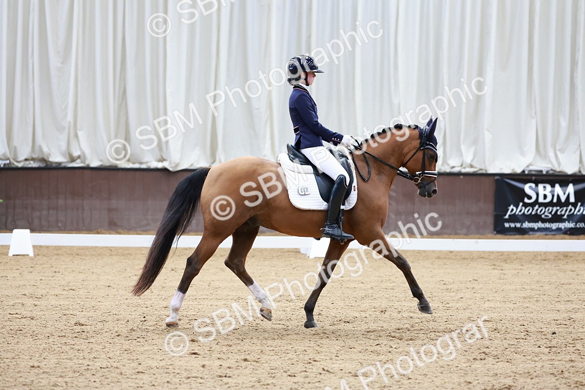 SBM_017260 - Class15 - FEI Pony