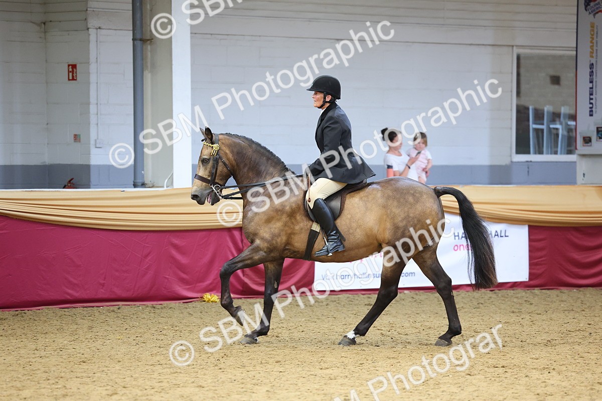 SBM_24408 - Class 906 - Supreme Final - Ridden Pre Vet