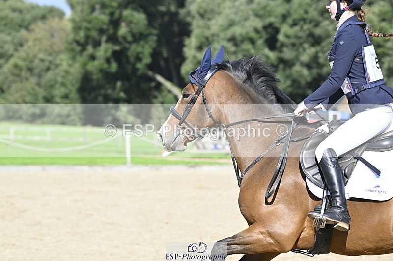 251005A-141306-04320 - Cls 09 Nov 80-85cm