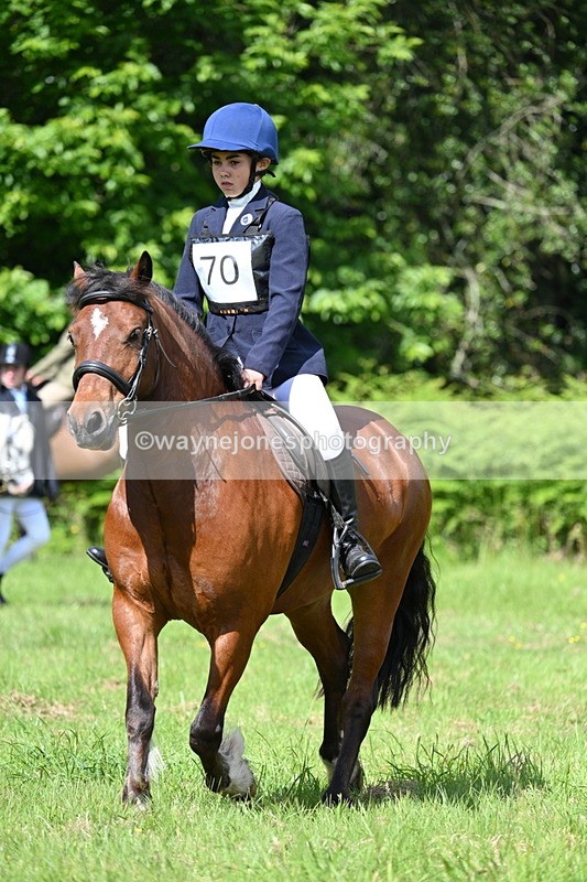 WJ7_1194 - Class 11 Condition & Turnout
