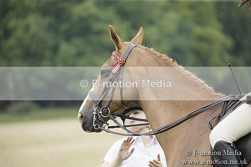 B230619-0912 - Bourne Valley Riding Club Summer Show 23/06/19