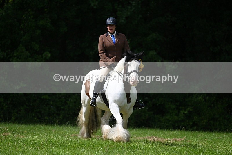WJ7_1613 - Class 11 Condition & Turnout
