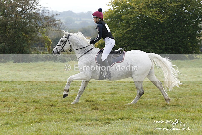  WWHT 171021 0868 - Open Novice (0.80m)  17/10/21