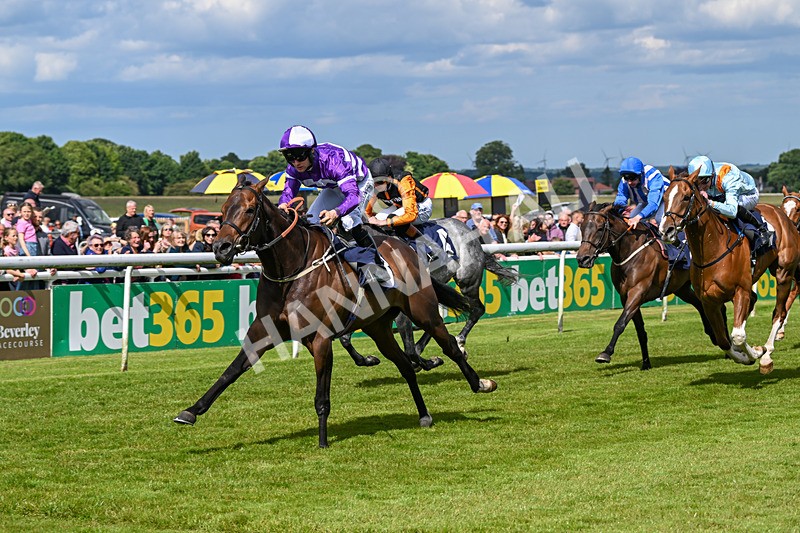 080624-Race 5-Ludos Landing-1466