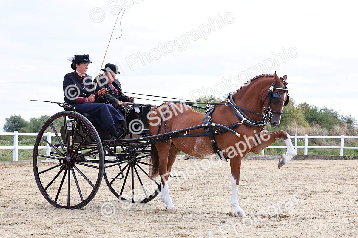 SBM_000465 - Class 4 - Junior Whip