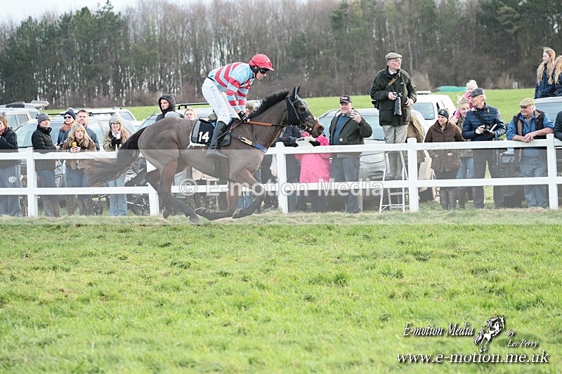 PtP 141225  2161 - New Forest Hounds PtP Larkhill 14/12/25
