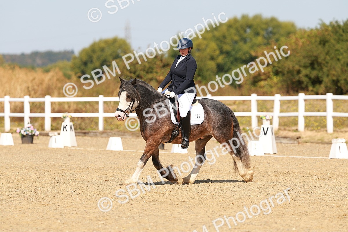 SBM_017768 - Class 9 - N5 Bronze 10.33.11.36