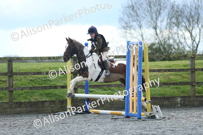 20260412-1722 - Show Jumping